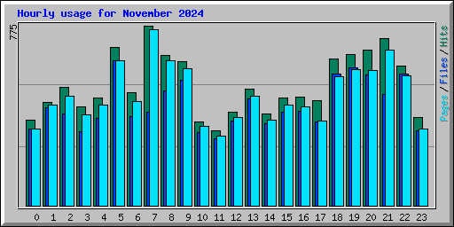 Hourly usage for November 2024