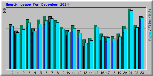 Hourly usage for December 2024