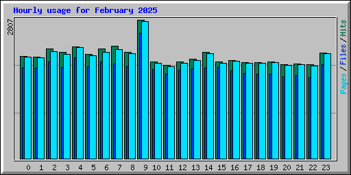 Hourly usage for February 2025
