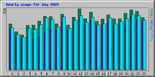 Hourly usage for May 2025