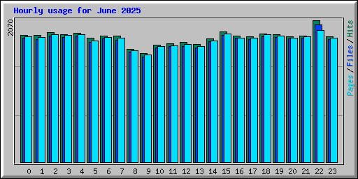 Hourly usage for June 2025