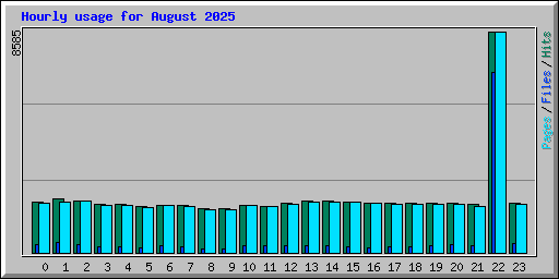 Hourly usage for August 2025