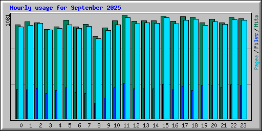 Hourly usage for September 2025