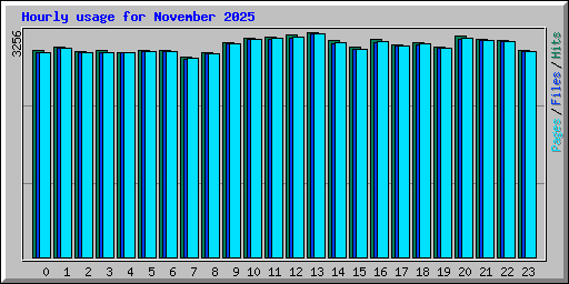 Hourly usage for November 2025