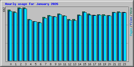 Hourly usage for January 2026